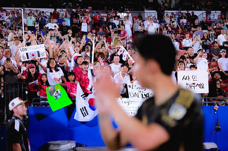 Son Heung-Min fans