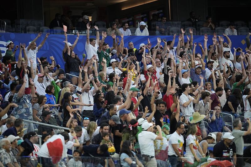 World Cup fans